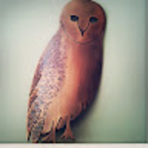 Meet your Posher, Mary beth